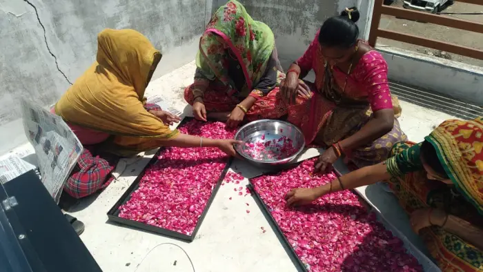 Rudra Solar Energy solar dryer installation in Gujarat, India