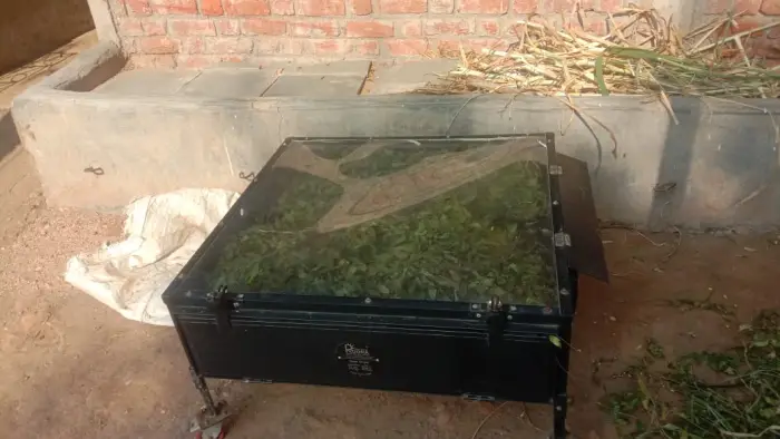Rudra Solar Energy solar dryer installation in Gujarat, India