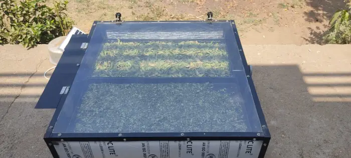 Rudra Solar Energy solar dryer installation in Gujarat, India
