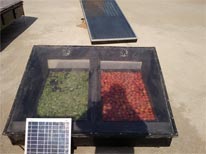 Solar Vegetable Dryer