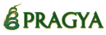 Pragya International Centre For Development  logo
