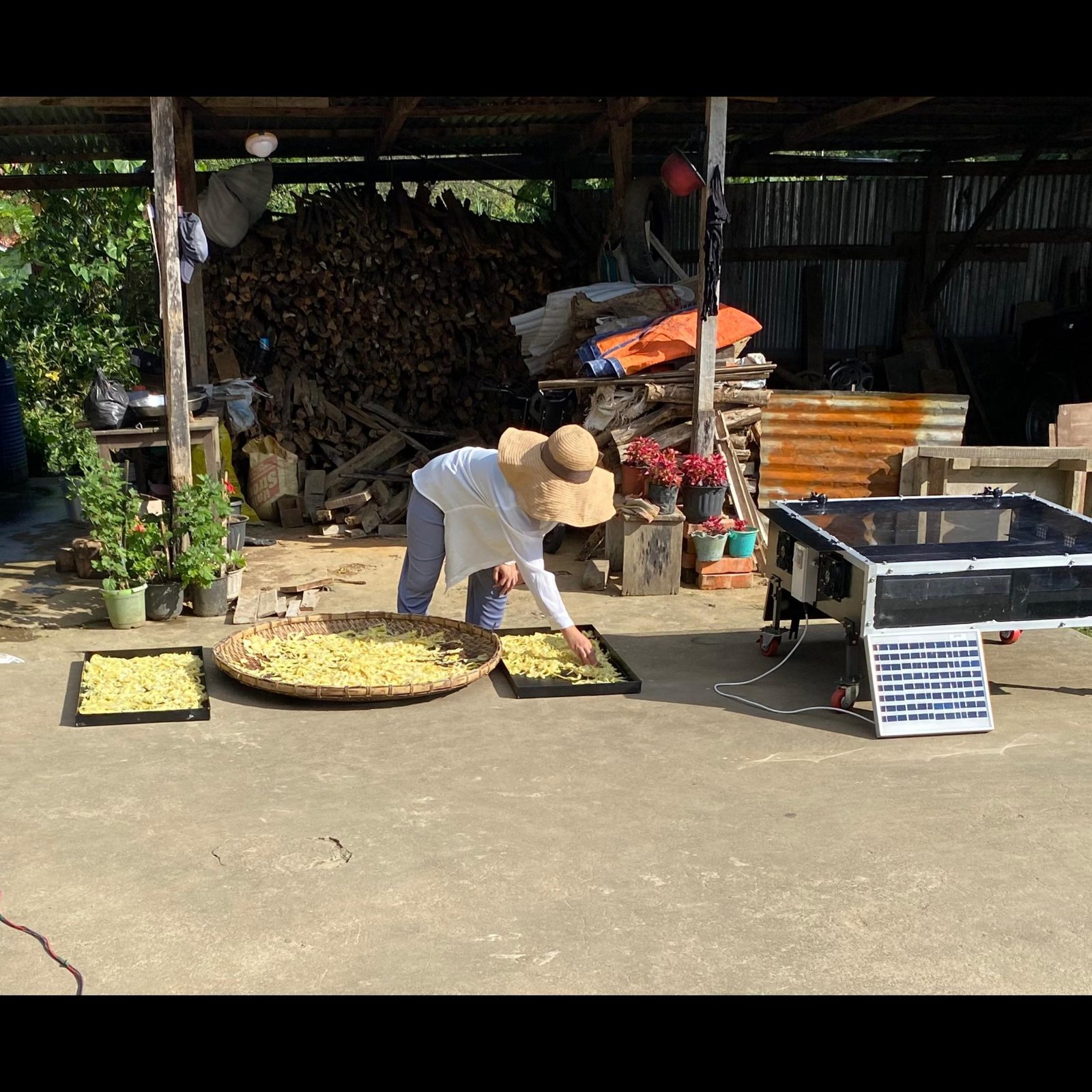 Solar dryers and installations in Manipur