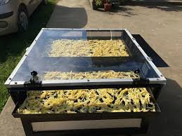 Solar dryers and installations in Uttar Pradesh