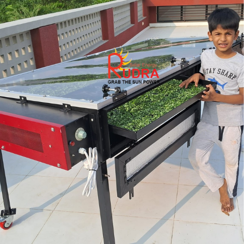 Solar Herb Dryer
