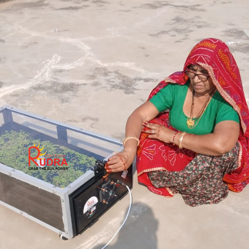 Solar Herb Dryer