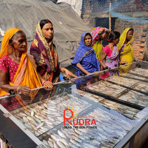 Solar Fish Dryer