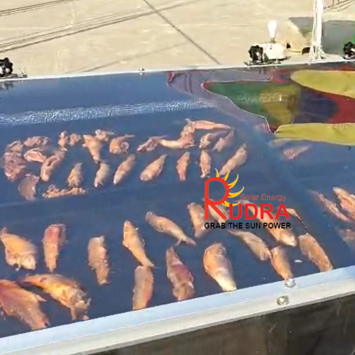 Solar Fish Dryer