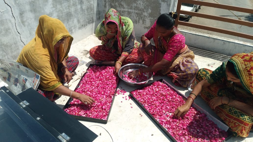 Solar Flower Dryer