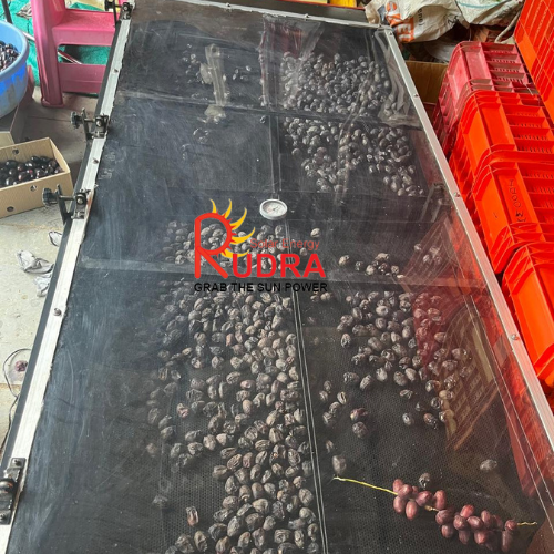 Solar Oilseed Dryer