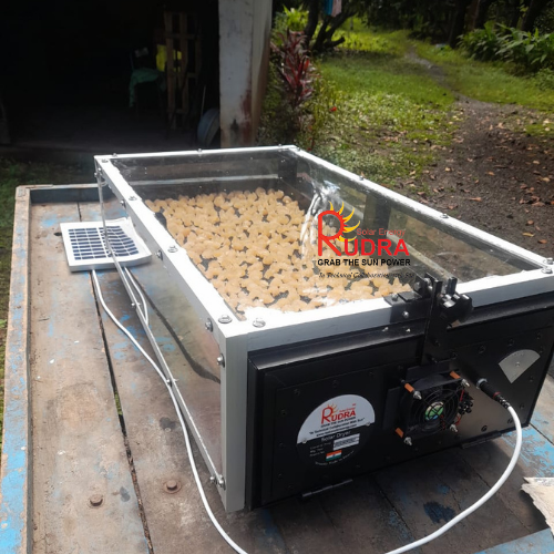Solar Oilseed Dryer