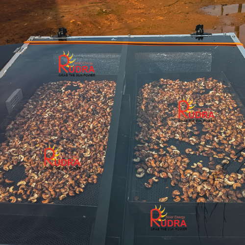 Solar Oilseed Dryer