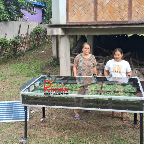 Solar Pulse Dryer