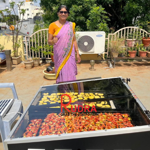 Cash Crop Solar Dryer