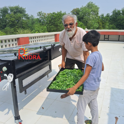 Solar Tea Leaves Dryer