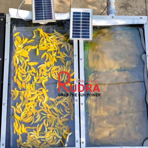 Solar Ayurvedic Raw Materials Dryer