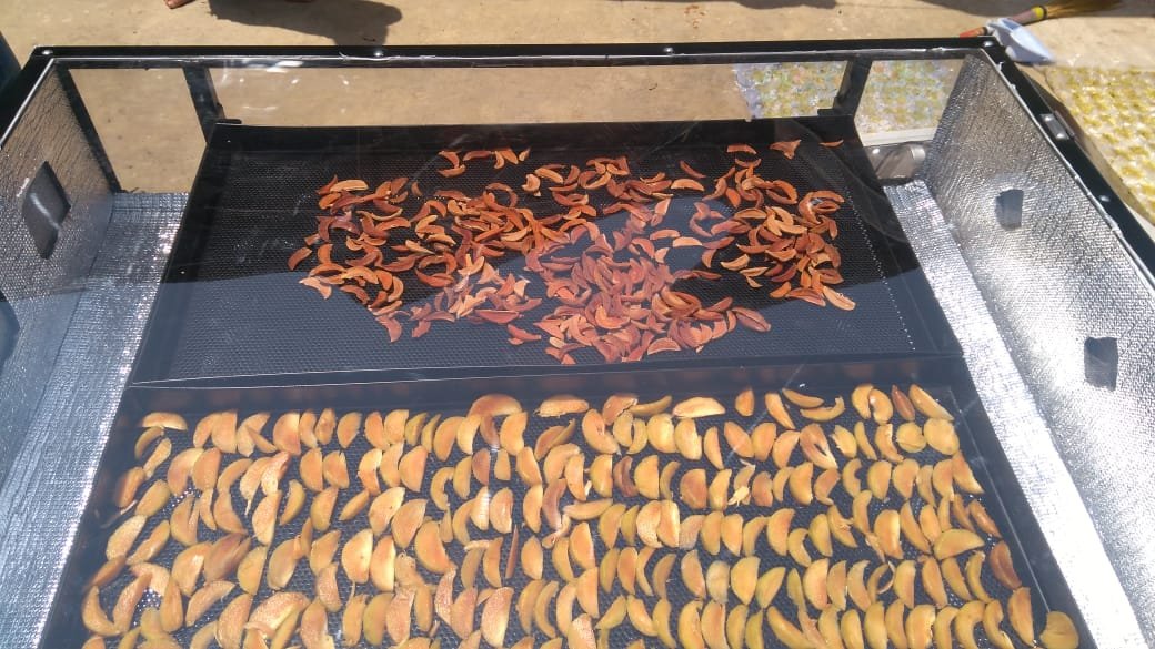 10 kg Cabinet Solar Dryer